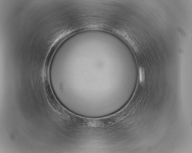 X0000115550579200911201802