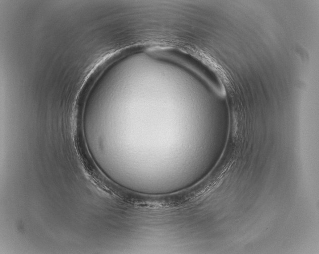 X0000115550580200911201802