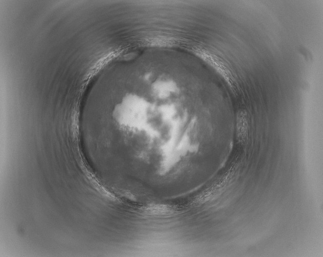 X0000115550581200911201802