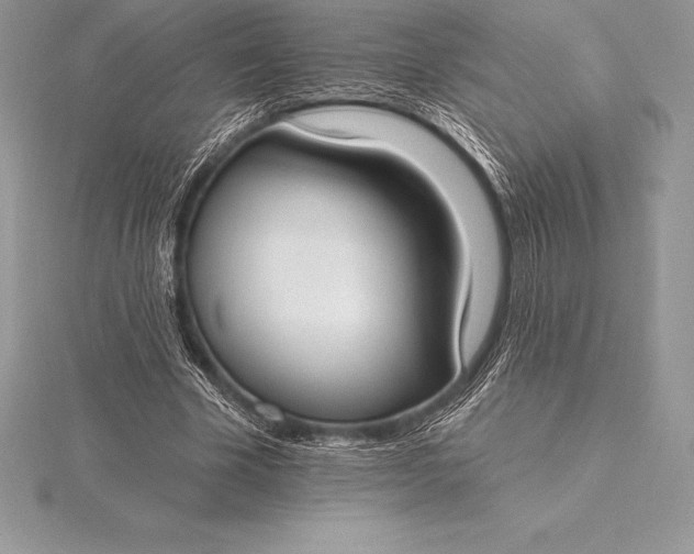 X0000115550585200911201802