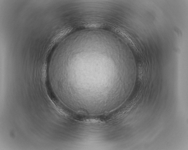 X0000115550586200911201802