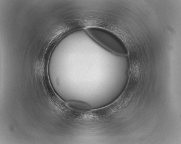 X0000115550587200911201802