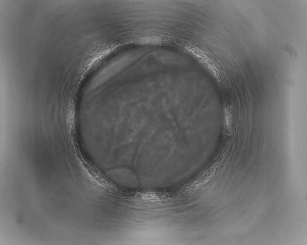 X0000115550588200911201802