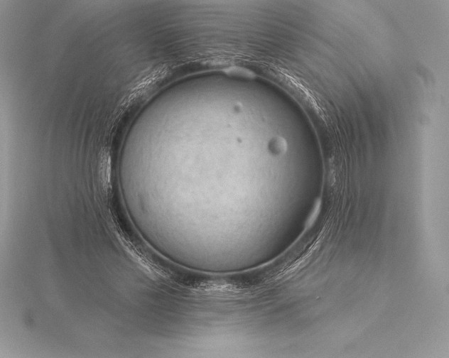 X0000115550589200911201802