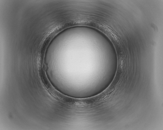 X0000115550591200911201802