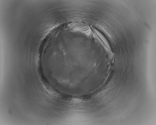 X0000115550592200911201802