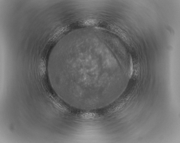 X0000115550593200911201802