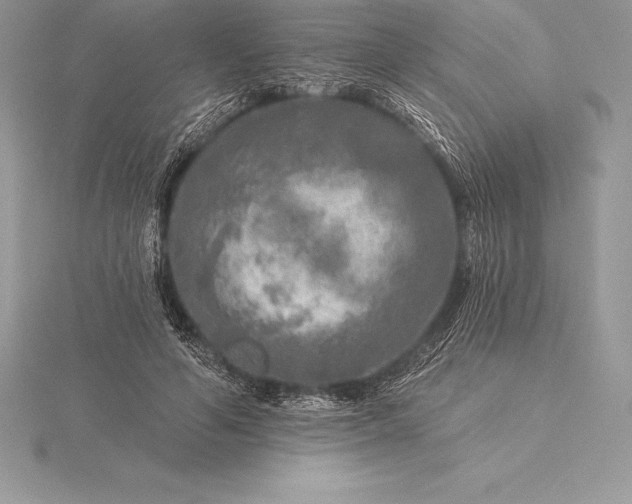 X0000115550594200911201802