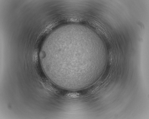 X0000115550595200911201802