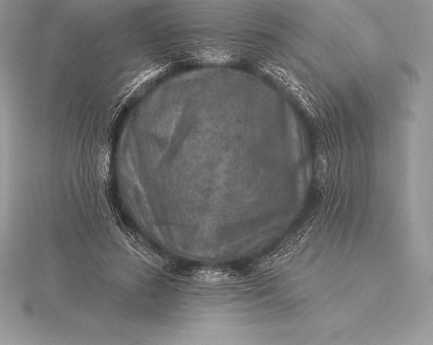 X0000115550596200911201802