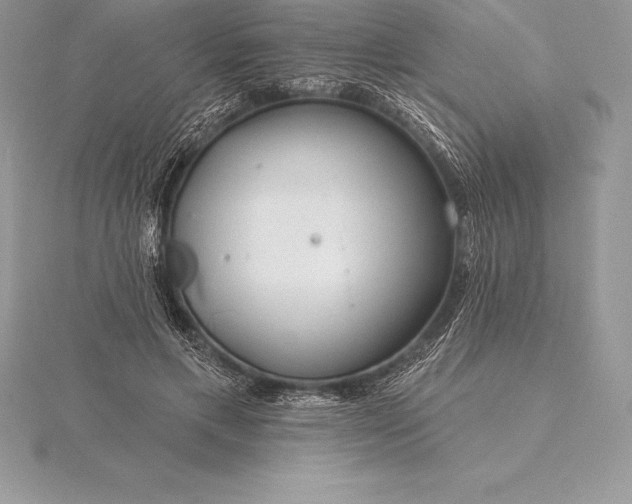 X0000115550597200911201802