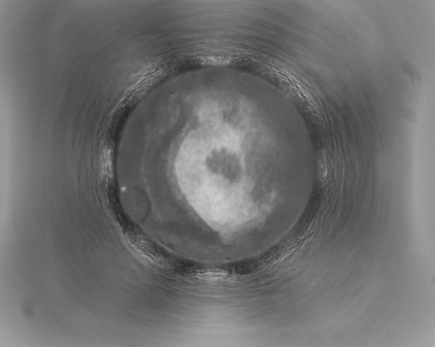 X0000115550598200911201802