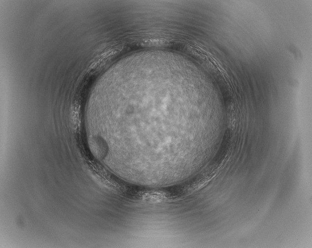 X0000115550599200911201802