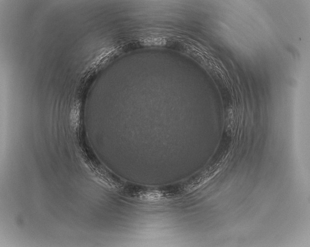 X0000115550600200911201802