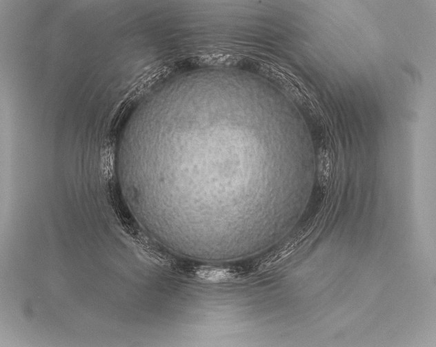 X0000115550602200911201802