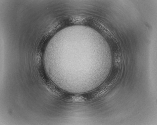 X0000115550603200911201802