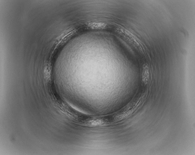 X0000115550604200911201802