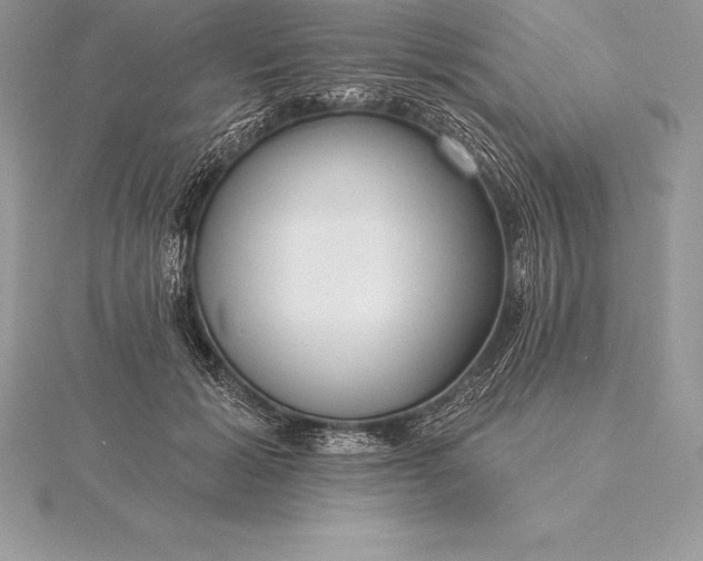 X0000115550605200911201802