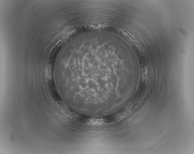 X0000115550606200911201802