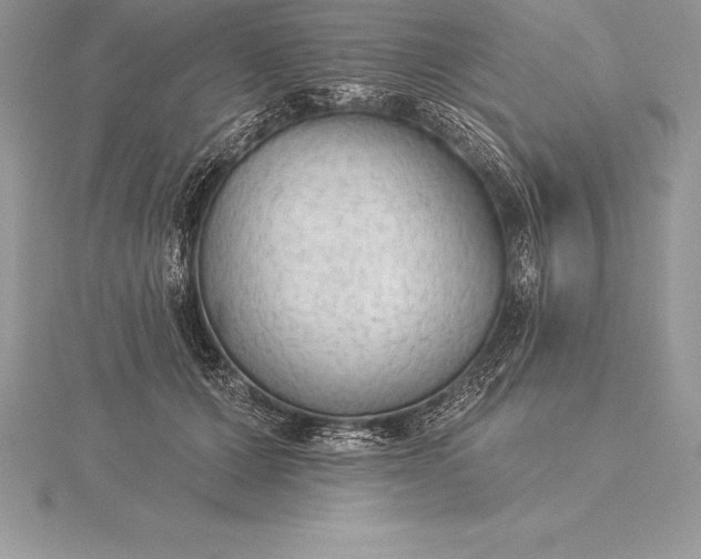 X0000115550607200911201802