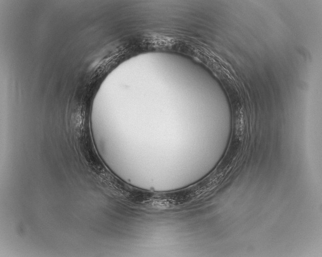 X0000115550608200911201802