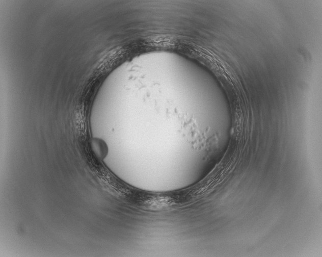 X0000115550609200911201802