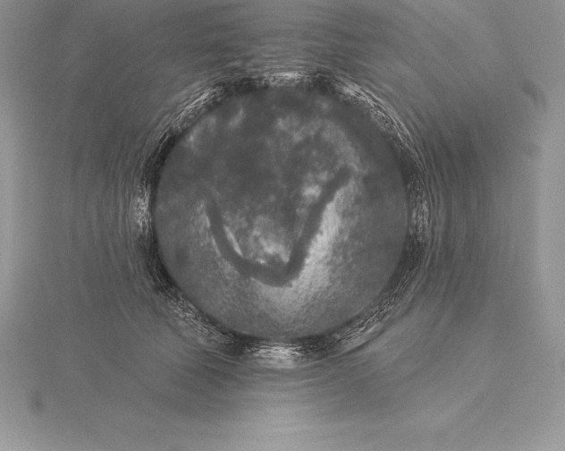 X0000115550610200911201802