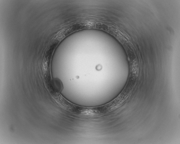 X0000115550611200911201802