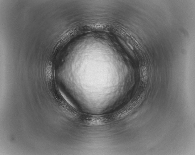 X0000115550612200911201802