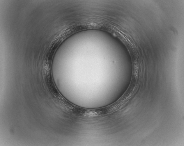 X0000115550613200911201802