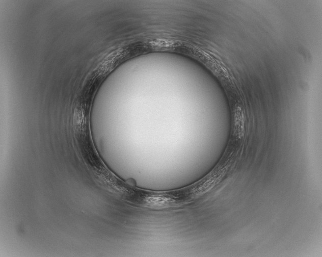 X0000115550614200911201802