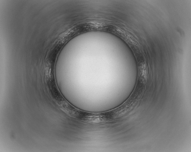 X0000115550615200911201802