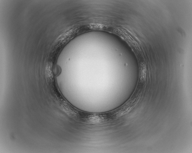 X0000115550616200911201802