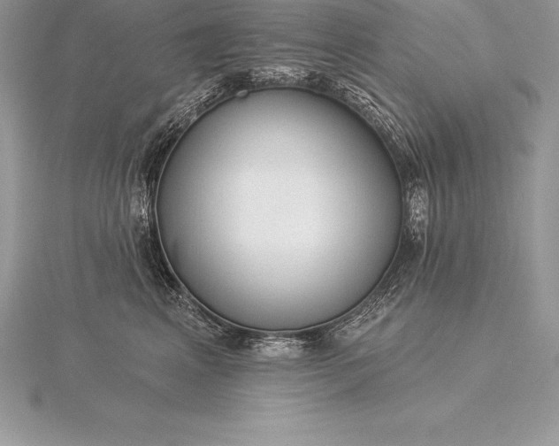 X0000115550617200911201802