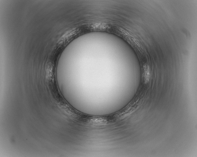 X0000115550619200911201802