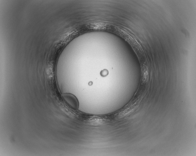 X0000115550620200911201802