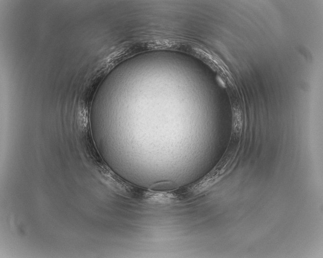 X0000115550621200911201802