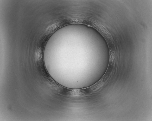 X0000115550623200911201802