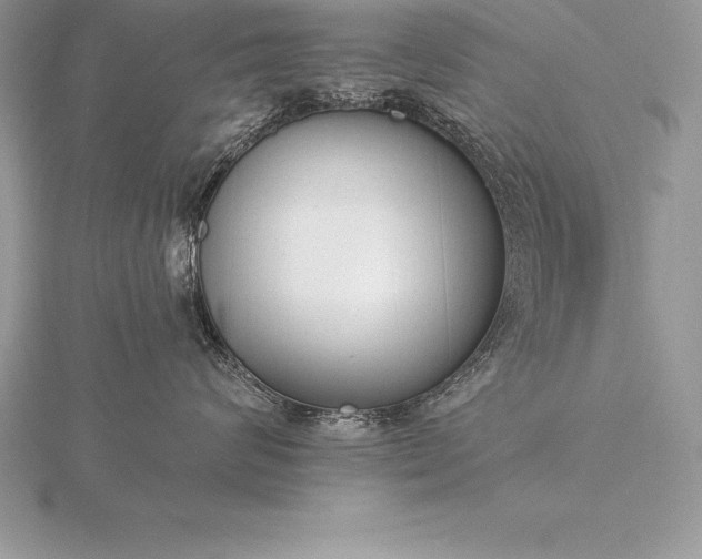 X0000115550624200911201802