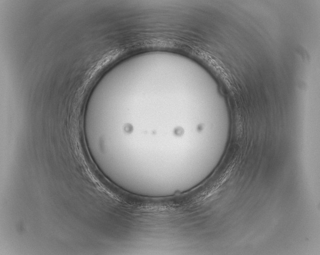 X0000115550625200911201801