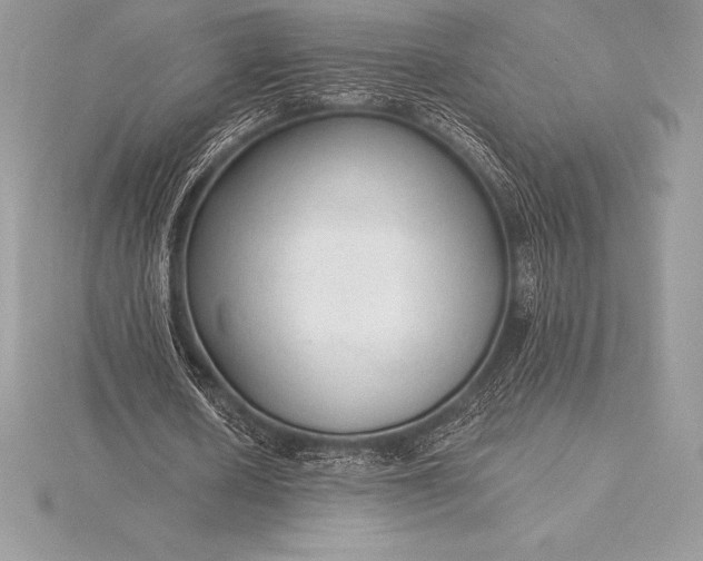 X0000115550626200911201801