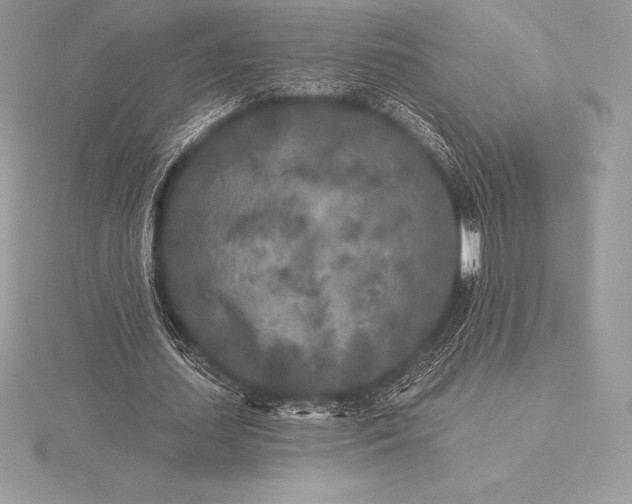 X0000115550627200911201801