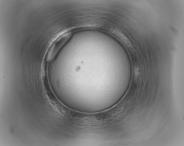 X0000115550628200911201801