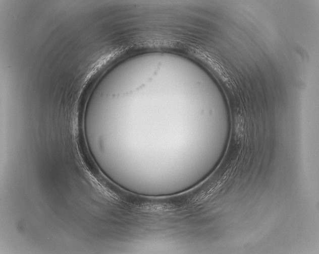 X0000115550629200911201801