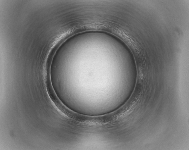 X0000115550630200911201801