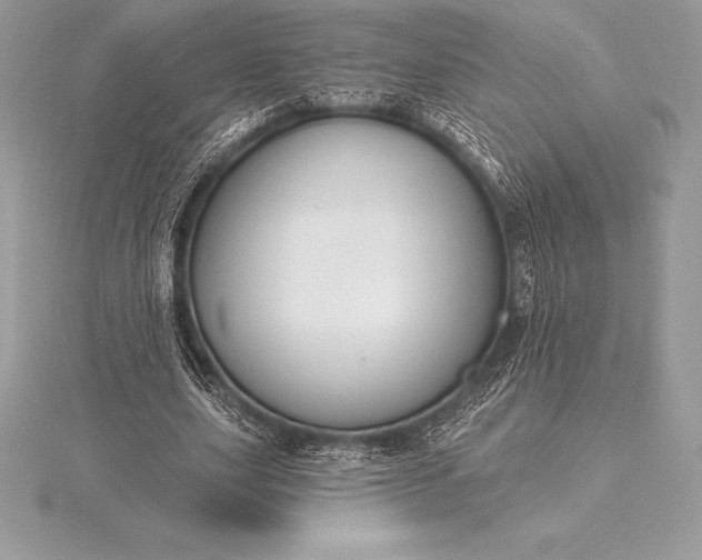 X0000115550631200911201801