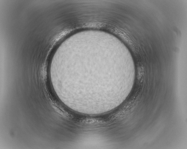 X0000115550632200911201801