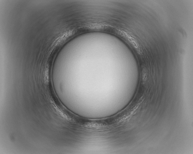 X0000115550633200911201801