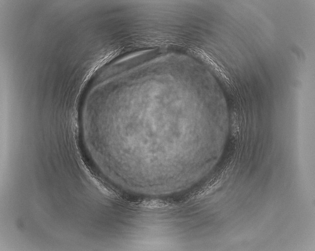 X0000115550634200911201801