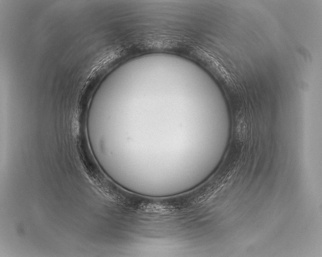 X0000115550635200911201801